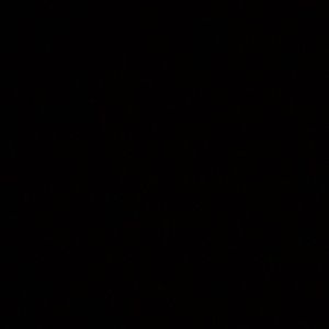 Meet your Posher, Tanya